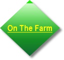 Go to Blog Button Go to Blog Button
